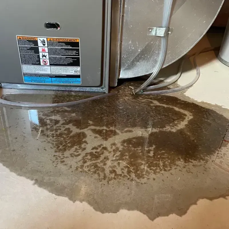 Appliance Leak Cleanup in Pooler, GA